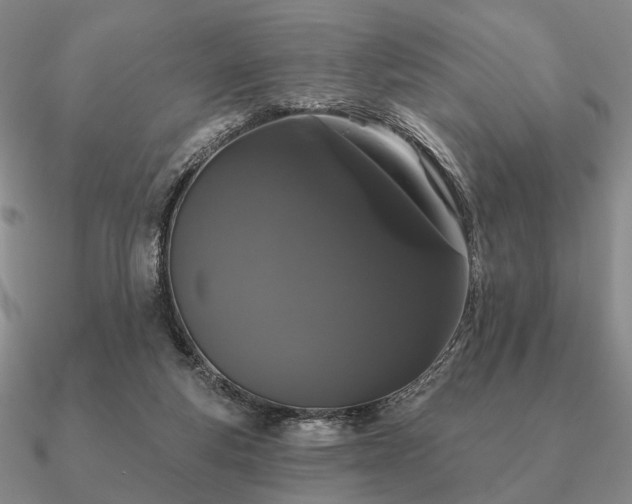 X0000090910163200708061529