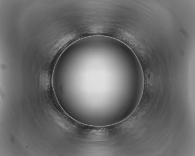 X0000090910164200708061529