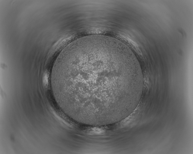 X0000090910166200708061529