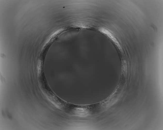 X0000090910167200708061529