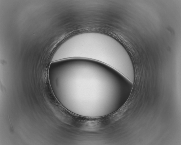 X0000090910168200708061529