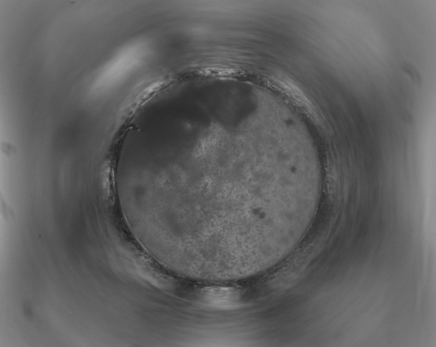 X0000090910169200708061529