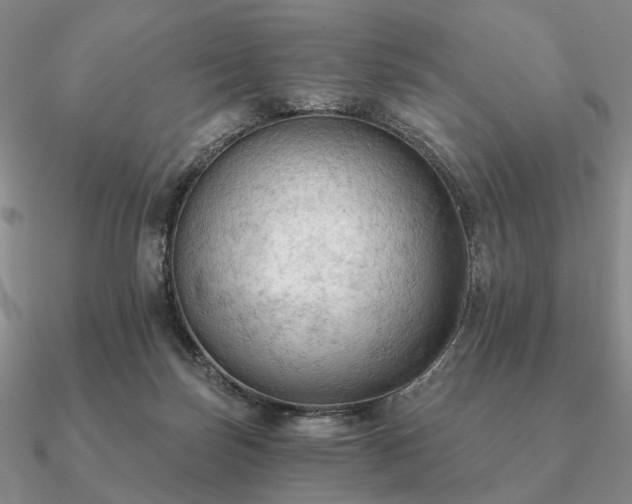 X0000090910171200708061529