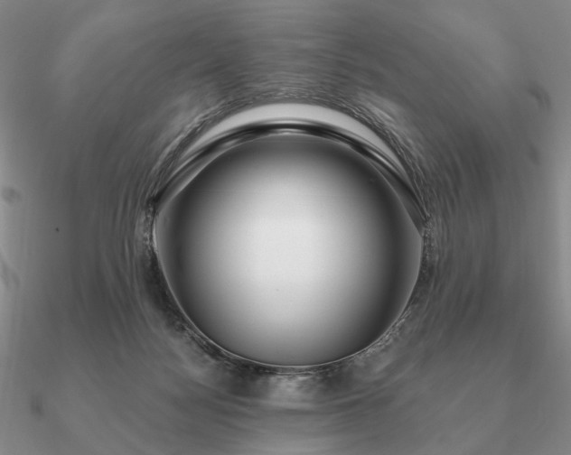 X0000090910172200708061529