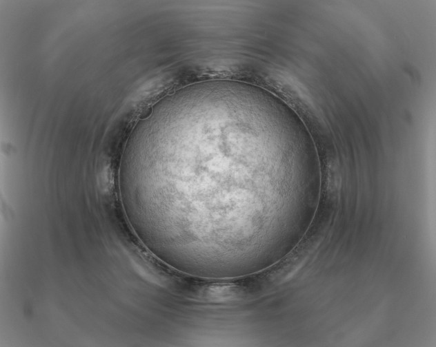 X0000090910173200708061529