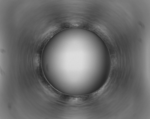 X0000090910174200708061529