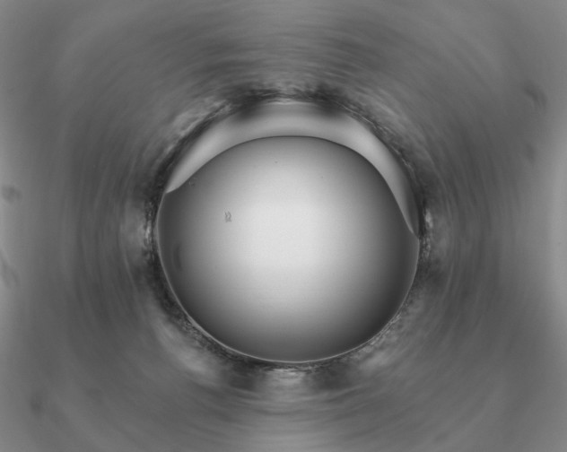 X0000090910176200708061529