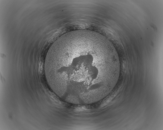 X0000090910177200708061529