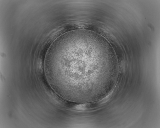 X0000090910178200708061529