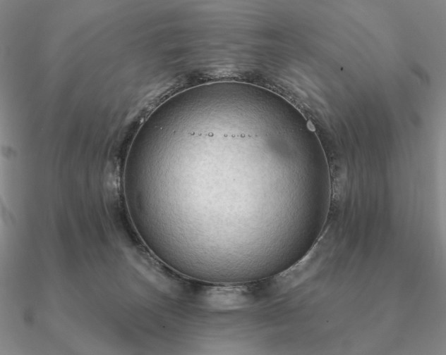 X0000090910179200708061529