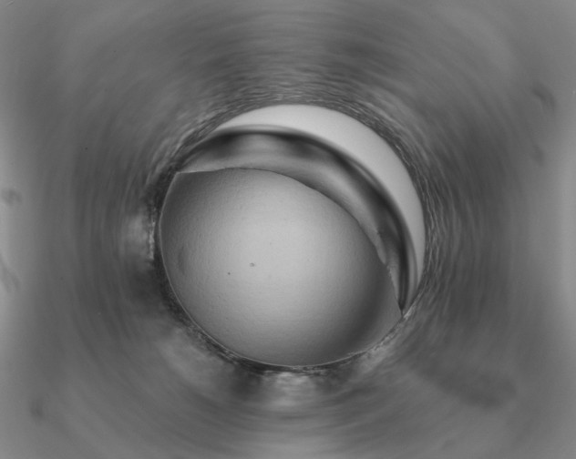 X0000090910180200708061529