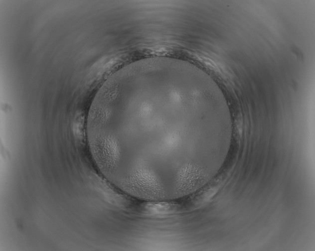 X0000090910181200708061529