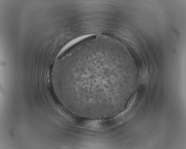 X0000090910182200708061529