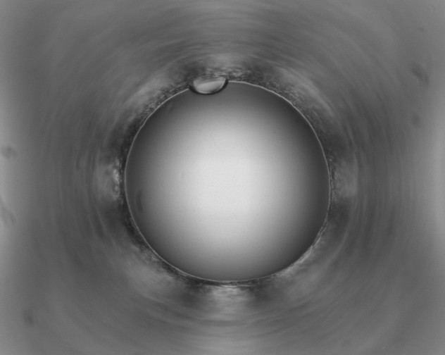 X0000090910183200708061529