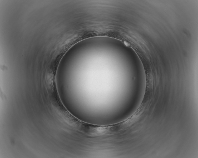 X0000090910184200708061530