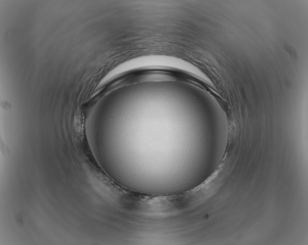 X0000090910186200708061530