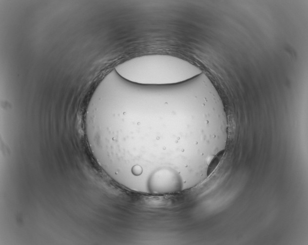 X0000090910187200708061530