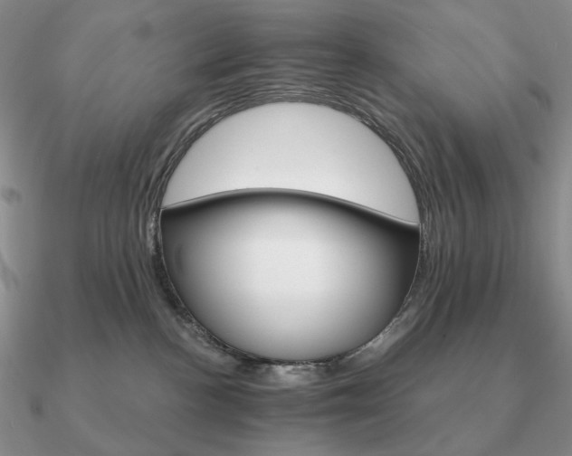 X0000090910188200708061530