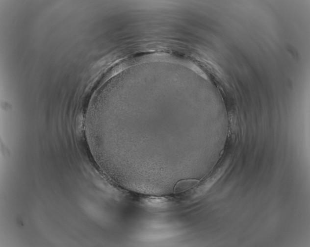 X0000090910189200708061530