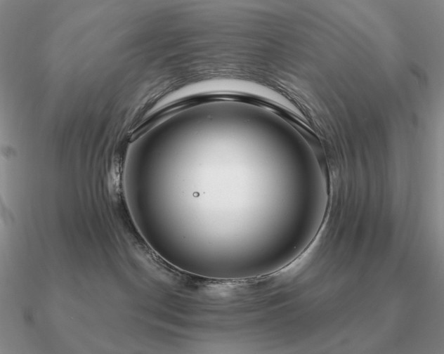 X0000090910190200708061530