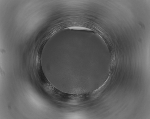 X0000090910191200708061530