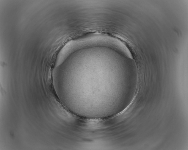 X0000090910192200708061530