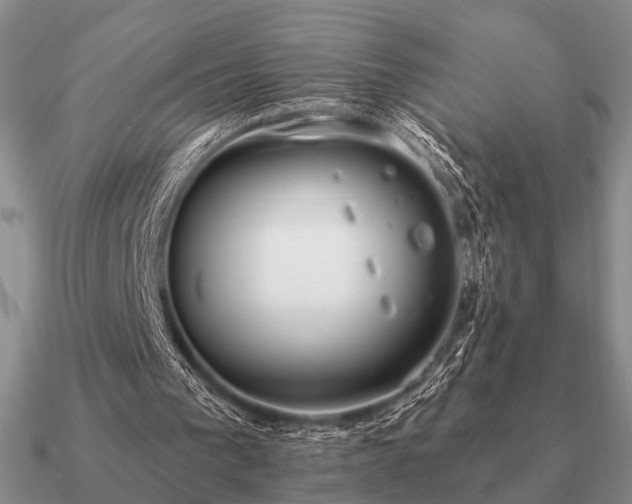 X0000090910193200708061529