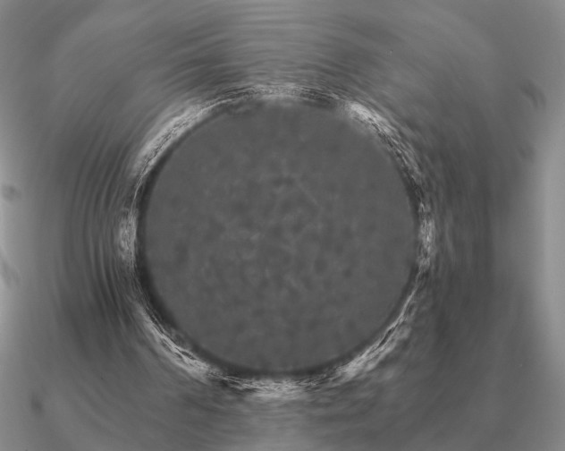 X0000090910194200708061529