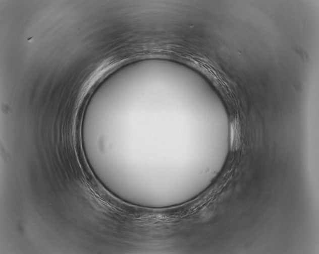 X0000090910195200708061529