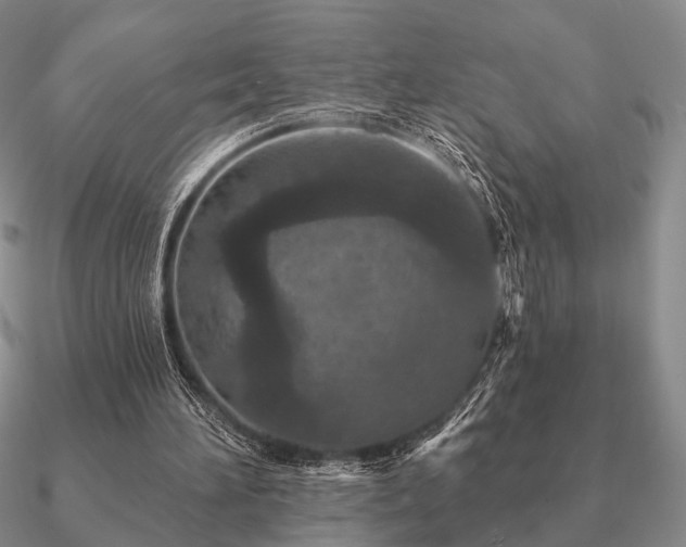 X0000090910196200708061529