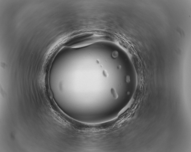 X0000090910197200708061529