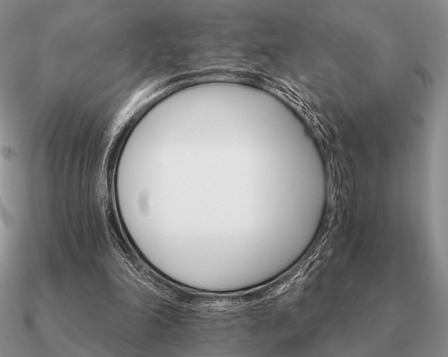 X0000090910198200708061529