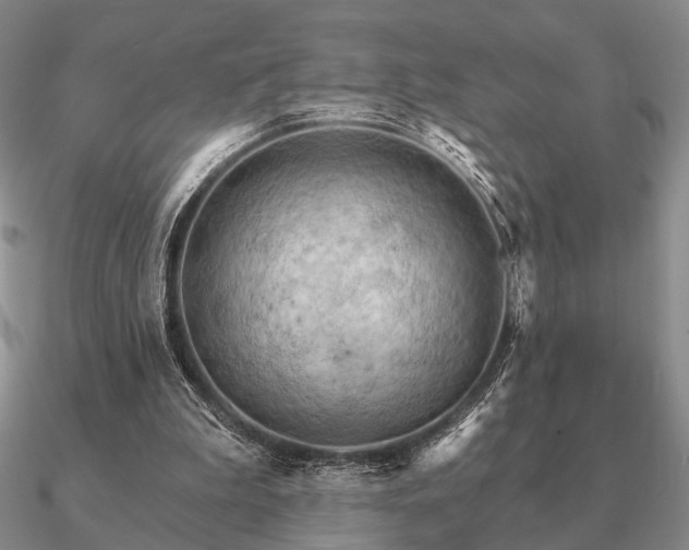 X0000090910199200708061529