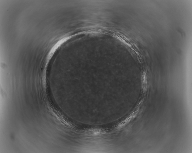 X0000090910200200708061529