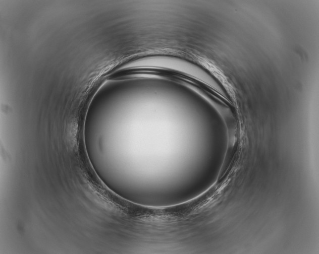 X0000090910201200708061529