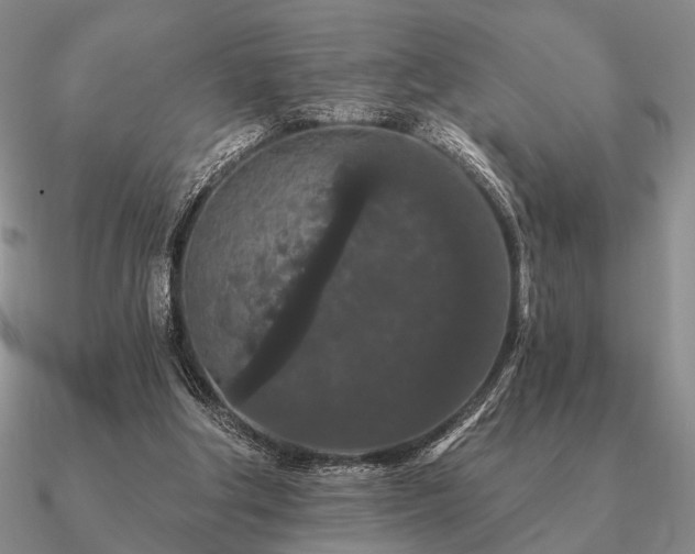 X0000090910202200708061529