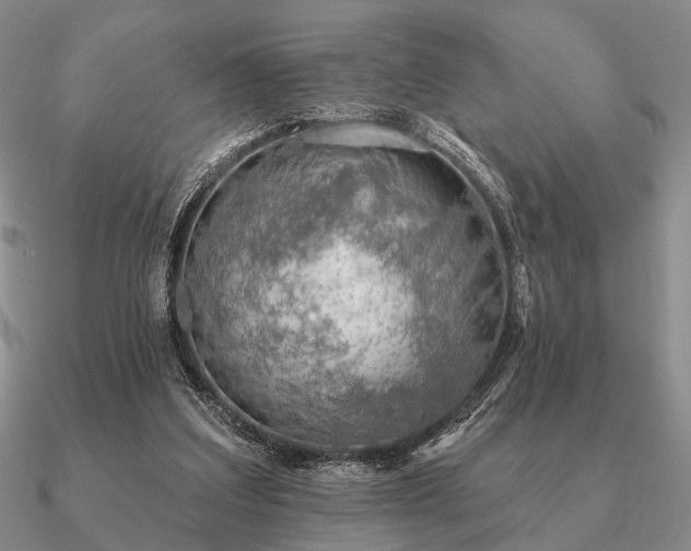 X0000090910203200708061529