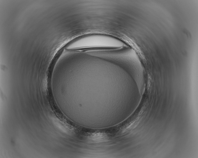 X0000090910204200708061529