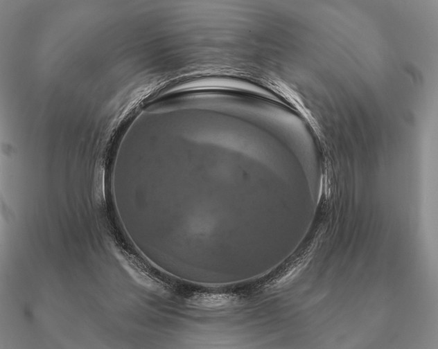 X0000090910205200708061529