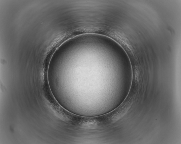 X0000090910206200708061529