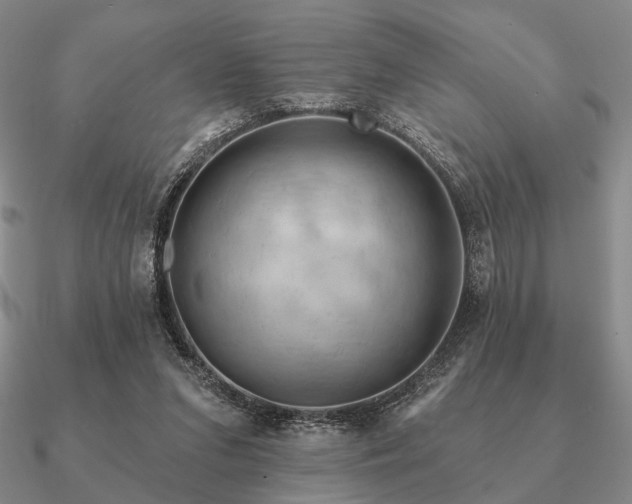 X0000090910207200708061529