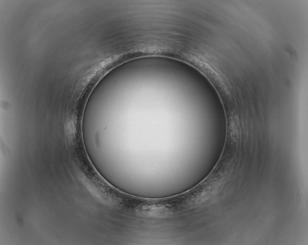 X0000090910208200708061529