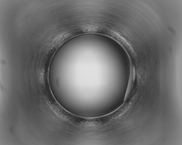 X0000090910209200708061529