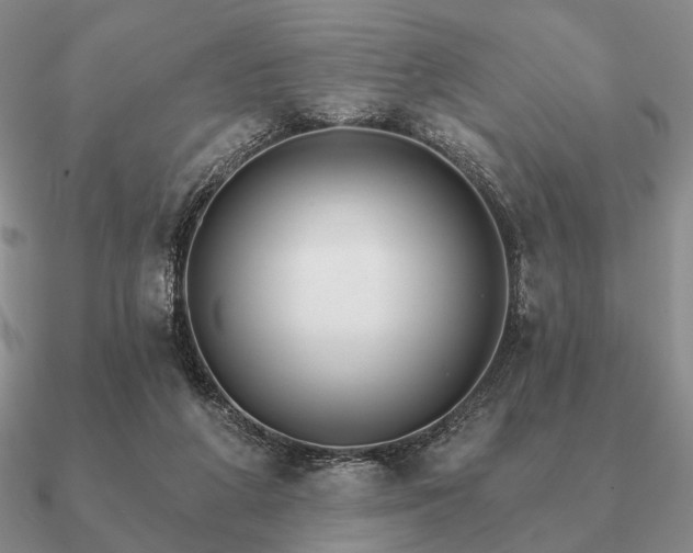 X0000090910210200708061529