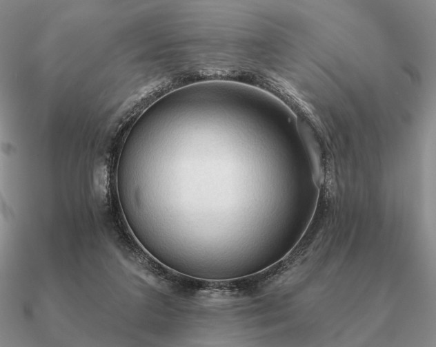 X0000090910211200708061529