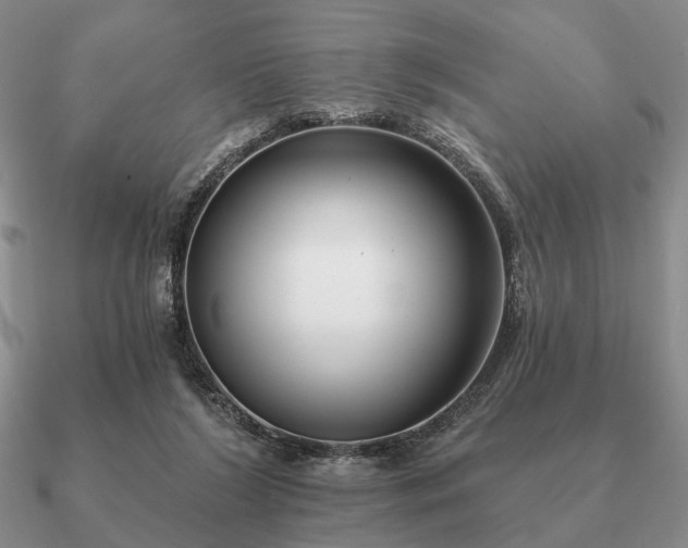 X0000090910212200708061529