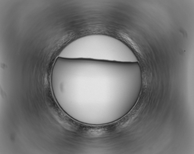 X0000090910213200708061529