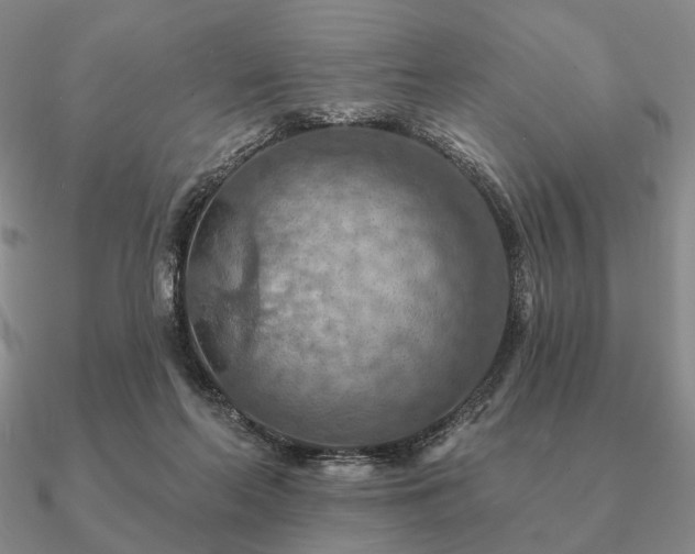 X0000090910214200708061529