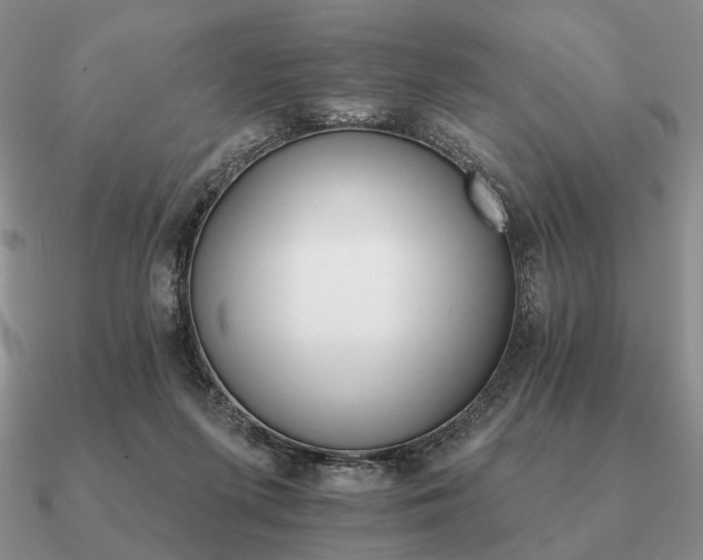 X0000090910215200708061529