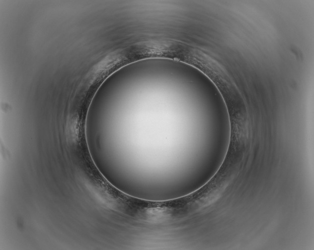 X0000090910216200708061529